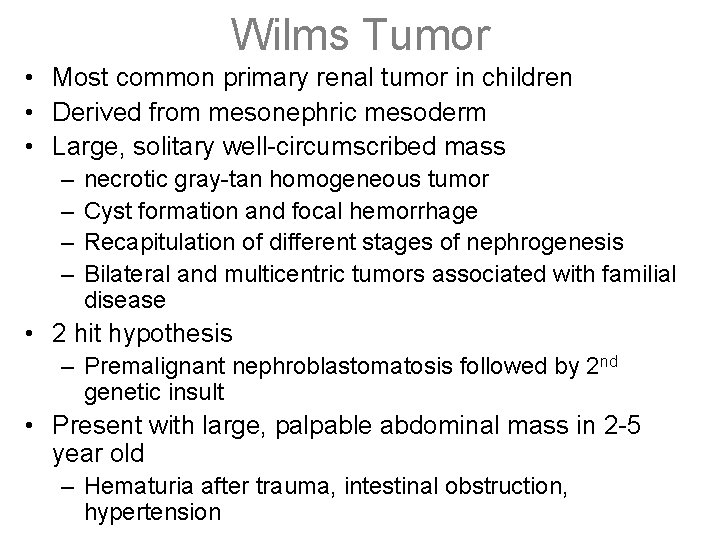 Wilms Tumor • Most common primary renal tumor in children • Derived from mesonephric
