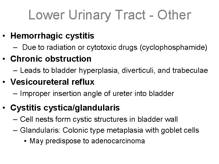 Lower Urinary Tract - Other • Hemorrhagic cystitis – Due to radiation or cytotoxic