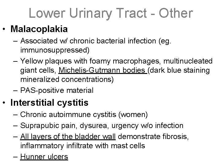 Lower Urinary Tract - Other • Malacoplakia – Associated w/ chronic bacterial infection (eg.