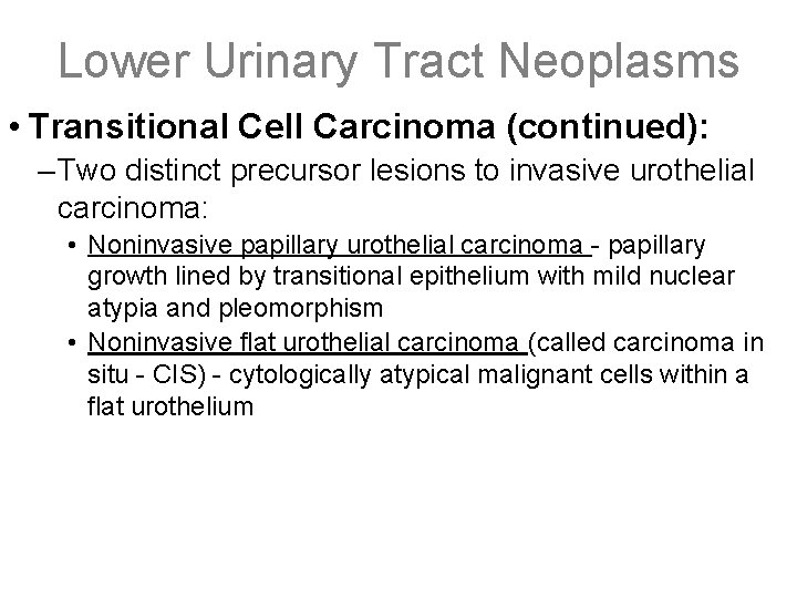 Lower Urinary Tract Neoplasms • Transitional Cell Carcinoma (continued): – Two distinct precursor lesions