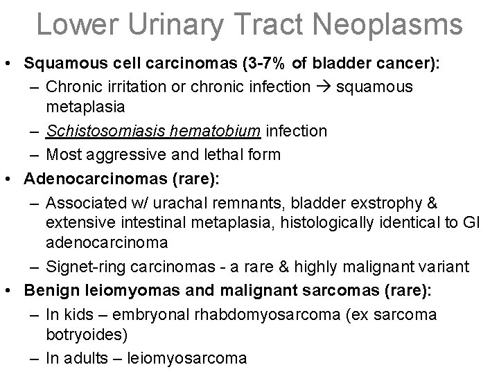 Lower Urinary Tract Neoplasms • Squamous cell carcinomas (3 -7% of bladder cancer): –