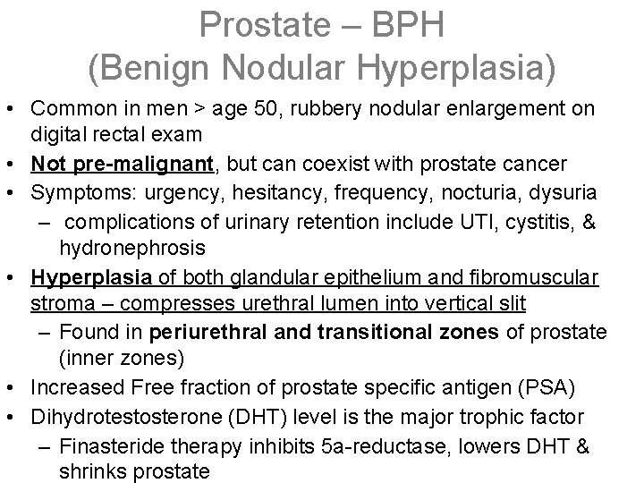 Prostate – BPH (Benign Nodular Hyperplasia) • Common in men > age 50, rubbery