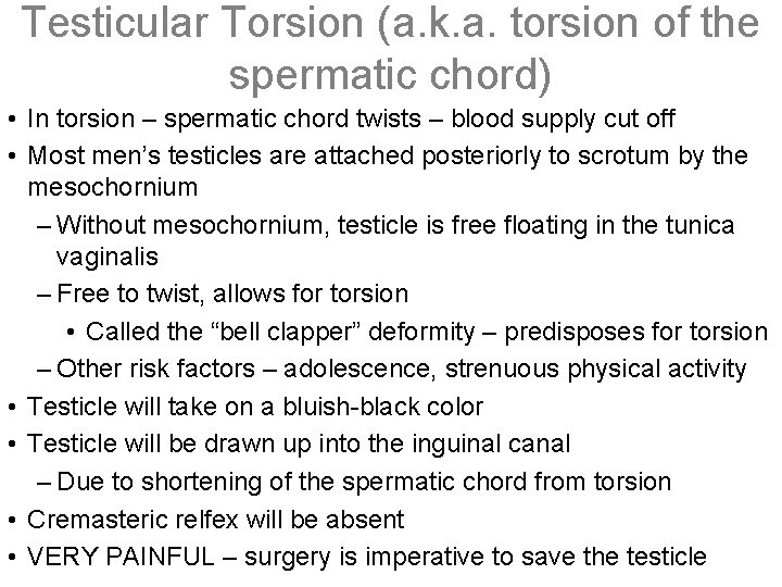 Testicular Torsion (a. k. a. torsion of the spermatic chord) • In torsion –
