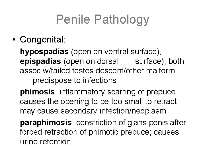Penile Pathology • Congenital: hypospadias (open on ventral surface), epispadias (open on dorsal surface);
