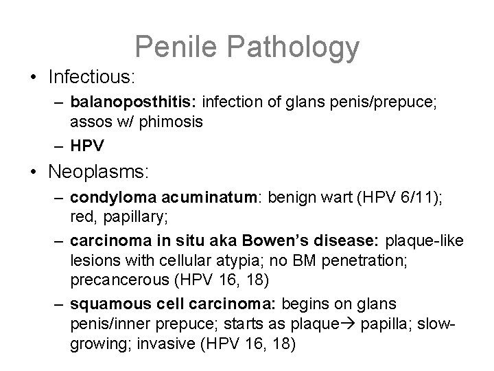 Penile Pathology • Infectious: – balanoposthitis: infection of glans penis/prepuce; assos w/ phimosis –