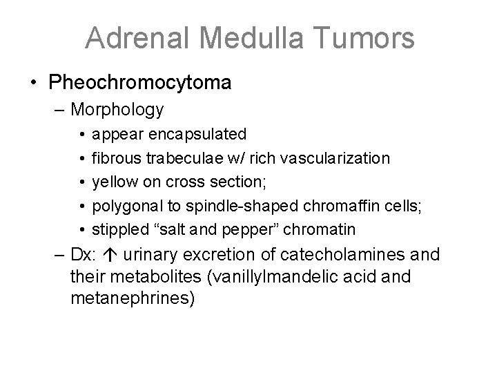 Adrenal Medulla Tumors • Pheochromocytoma – Morphology • • • appear encapsulated fibrous trabeculae