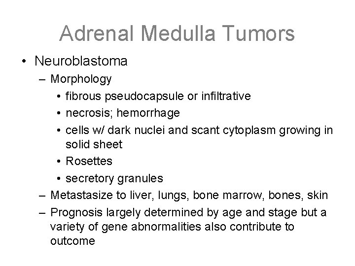 Adrenal Medulla Tumors • Neuroblastoma – Morphology • fibrous pseudocapsule or infiltrative • necrosis;