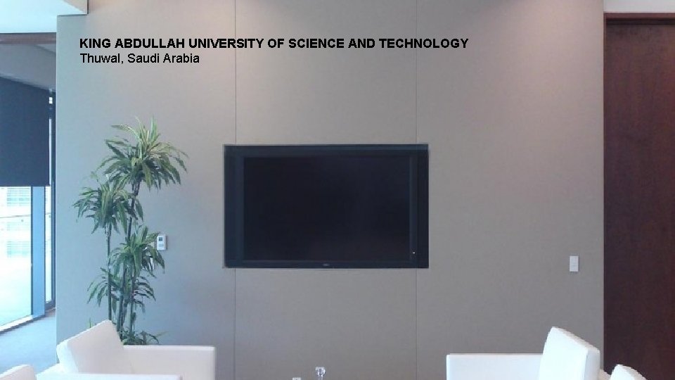 KING ABDULLAH UNIVERSITY OF SCIENCE AND TECHNOLOGY Thuwal, Saudi Arabia 