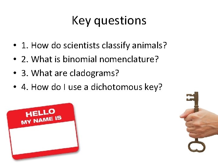 Key questions • • 1. How do scientists classify animals? 2. What is binomial Key questions • • 1. How do scientists classify animals? 2. What is binomial