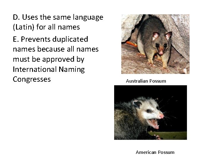 D. Uses the same language (Latin) for all names E. Prevents duplicated names because D. Uses the same language (Latin) for all names E. Prevents duplicated names because