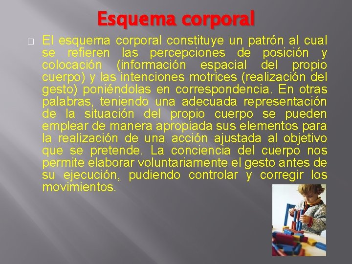 Esquema corporal � El esquema corporal constituye un patrón al cual se refieren las Esquema corporal � El esquema corporal constituye un patrón al cual se refieren las