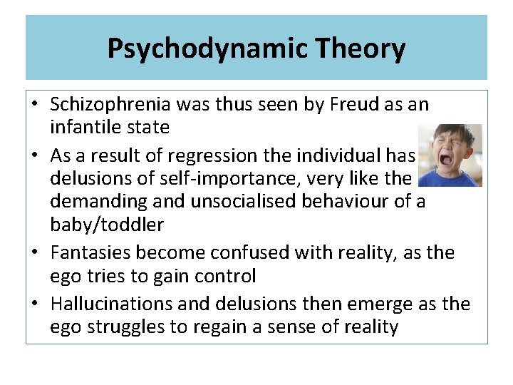 Psychodynamic Theory • Schizophrenia was thus seen by Freud as an infantile state •