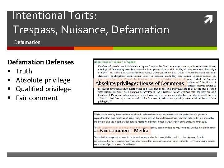 Civil Law Torts Negligence Intentional Defamation Recap Criminal