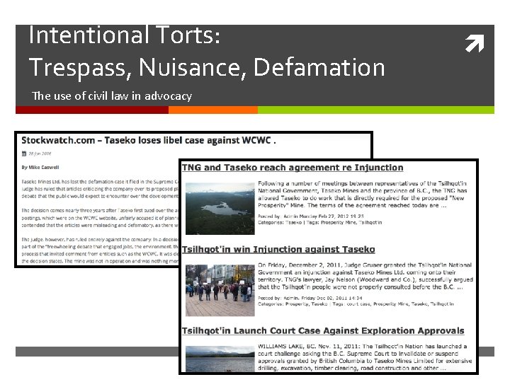 Intentional Torts: Trespass, Nuisance, Defamation The use of civil law in advocacy Intentional Torts: Trespass, Nuisance, Defamation The use of civil law in advocacy