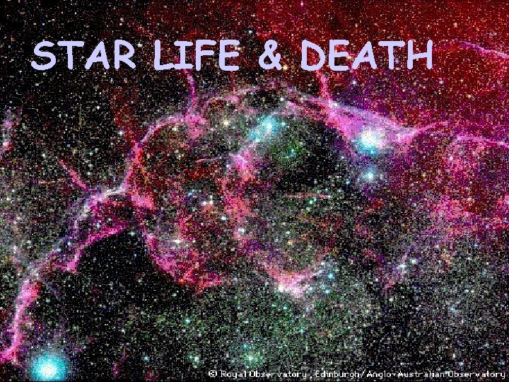 STAR LIFE & DEATH 