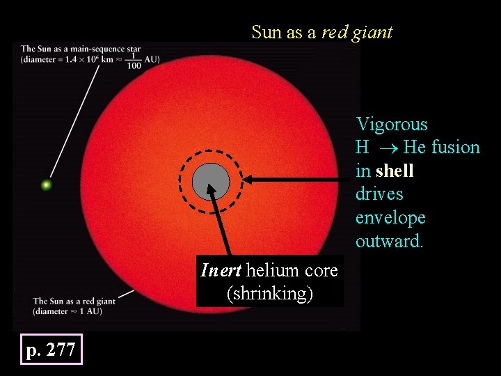Sun as a red giant Vigorous H He fusion in shell drives envelope outward.