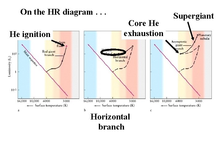 On the HR diagram. . . He ignition Core He exhaustion Horizontal branch Supergiant