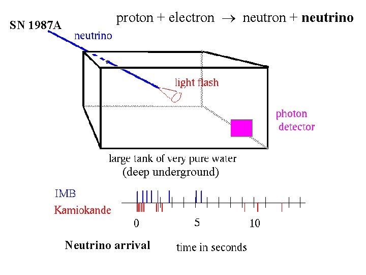 SN 1987 A proton + electron neutron + neutrino (deep underground) Neutrino arrival 