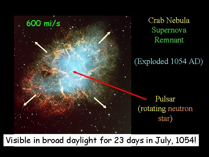 600 mi/s Crab Nebula Supernova Remnant (Exploded 1054 AD) Pulsar (rotating neutron star) Visible