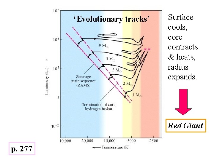 ‘Evolutionary tracks’ Surface cools, core contracts & heats, radius expands. Red Giant p. 277