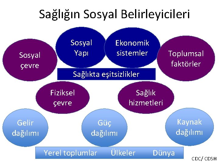 Sağlığın Sosyal Belirleyicileri Sosyal çevre Sosyal Yapı Ekonomik sistemler Sağlıkta eşitsizlikler Sağlık hizmetleri Fiziksel