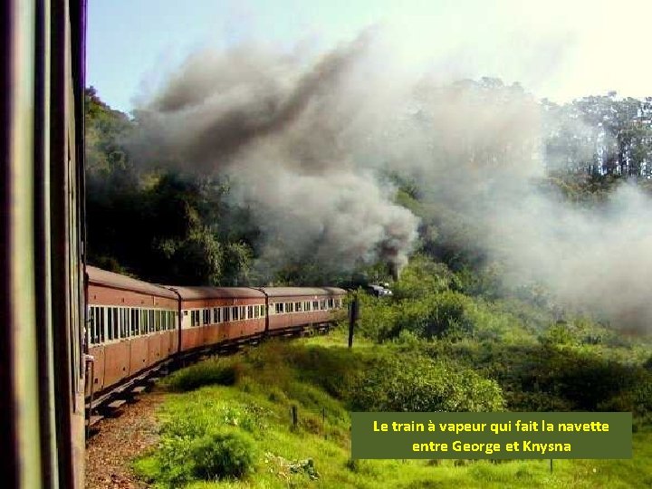 Le train à vapeur qui fait la navette entre George et Knysna 