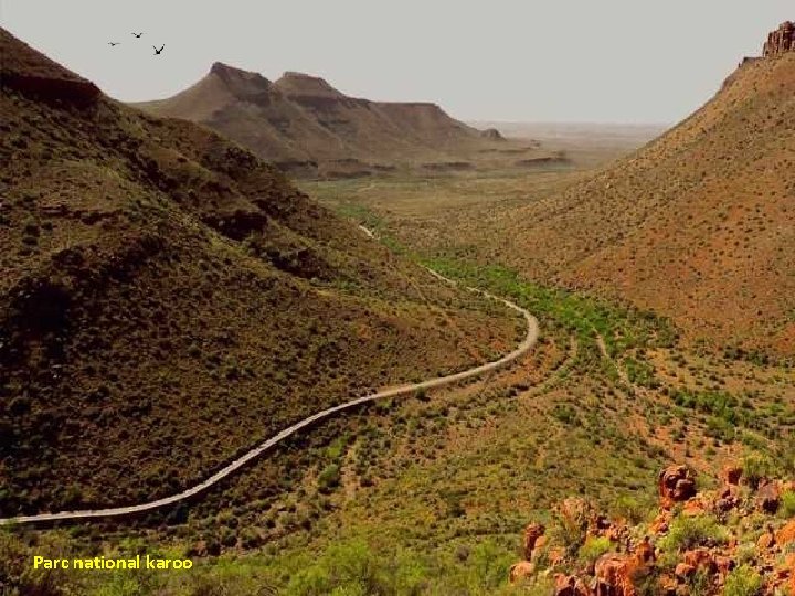 Parc national karoo 