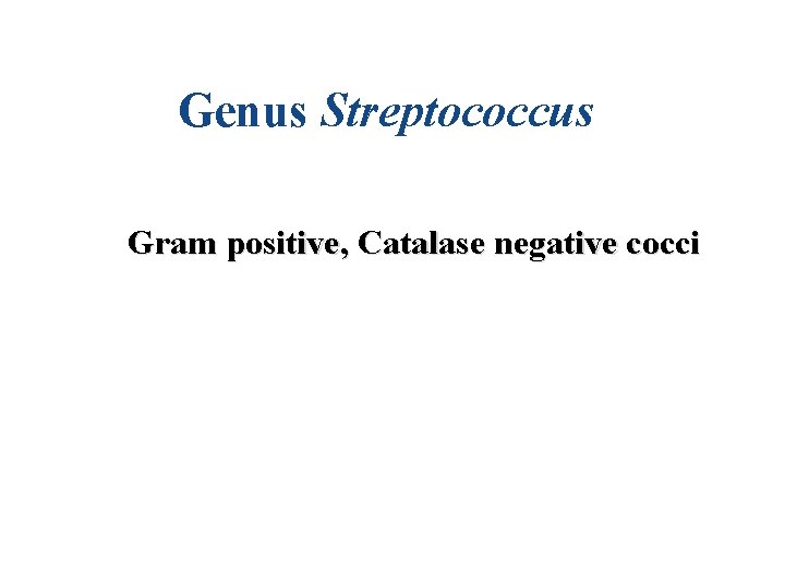 Genus Streptococcus Gram positive, Catalase negative cocci 