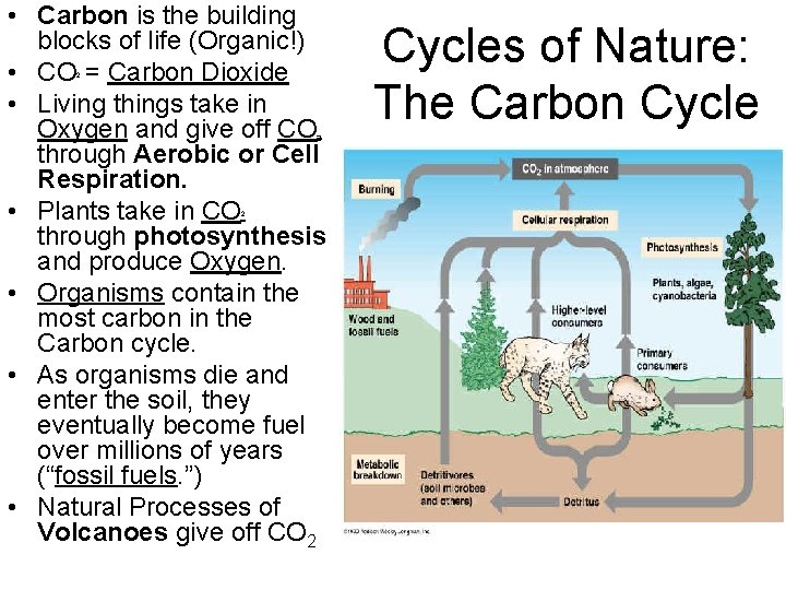  • Carbon is the building blocks of life (Organic!) • CO = Carbon