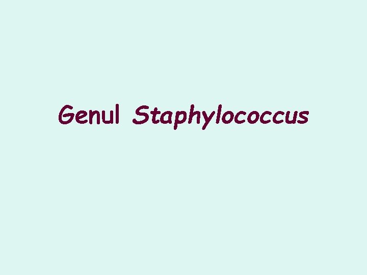Genul Staphylococcus Genul Staphylococcus