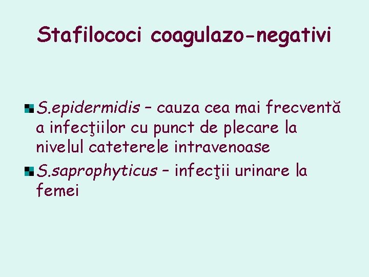 Stafilococi coagulazo-negativi S. epidermidis – cauza cea mai frecventă a infecţiilor cu punct de Stafilococi coagulazo-negativi S. epidermidis – cauza cea mai frecventă a infecţiilor cu punct de