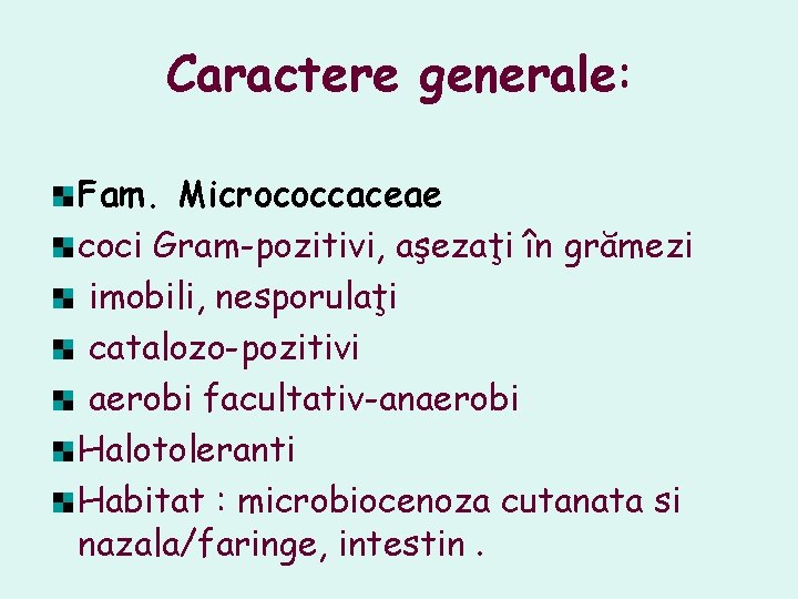 Caractere generale: Fam. Micrococcaceae coci Gram-pozitivi, aşezaţi în grămezi imobili, nesporulaţi catalozo-pozitivi aerobi facultativ-anaerobi Caractere generale: Fam. Micrococcaceae coci Gram-pozitivi, aşezaţi în grămezi imobili, nesporulaţi catalozo-pozitivi aerobi facultativ-anaerobi