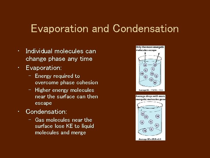 Evaporation and Condensation • Individual molecules can change phase any time • Evaporation: –