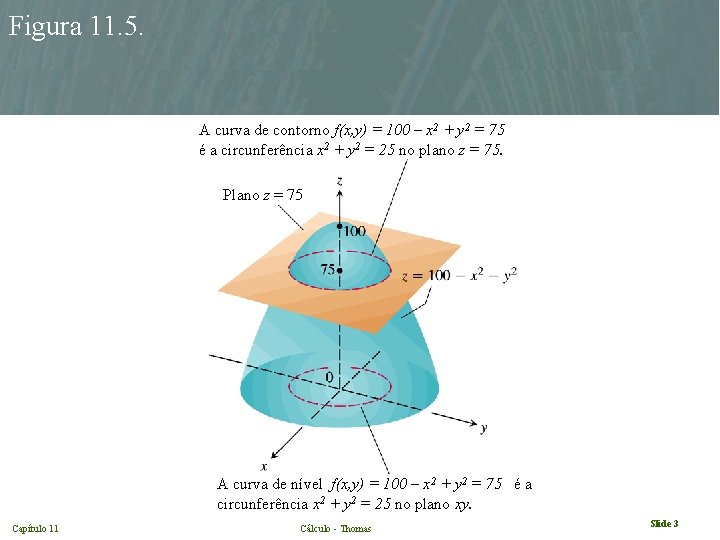 Figura 11. 5. A curva de contorno f(x, y) = 100 – x 2