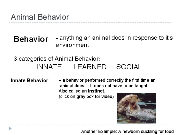 Animal Behavior – anything an animal does in response to it’s environment 3 categories