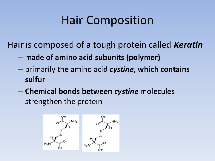 Hair Composition Hair is composed of a tough protein called Keratin – made of