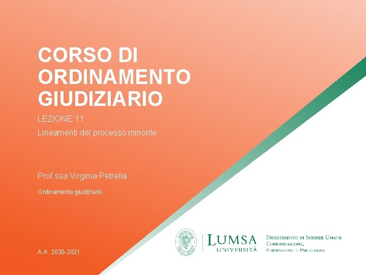 CORSO DI ORDINAMENTO GIUDIZIARIO LEZIONE 11 Lineamenti del processo minorile Prof. ssa Virginia Petrella