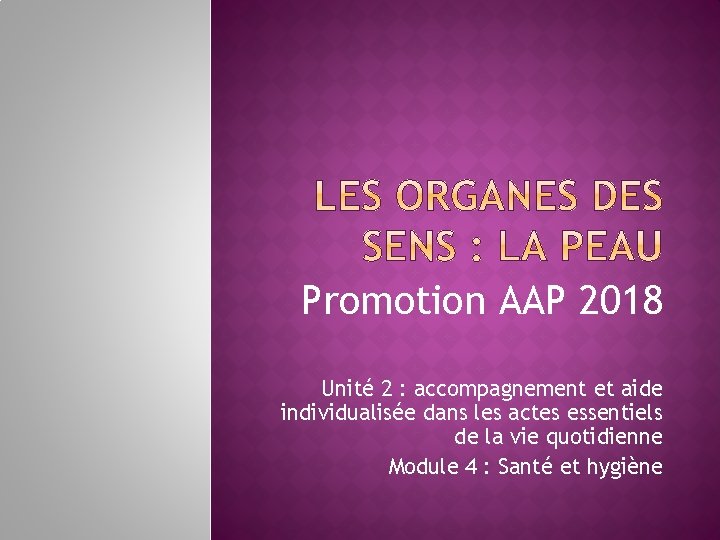 Promotion AAP 2018 Unité 2 : accompagnement et aide individualisée dans les actes essentiels Promotion AAP 2018 Unité 2 : accompagnement et aide individualisée dans les actes essentiels