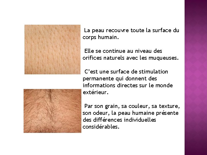 La peau recouvre toute la surface du corps humain. Elle se continue au niveau La peau recouvre toute la surface du corps humain. Elle se continue au niveau