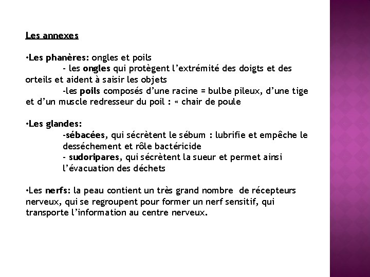 Les annexes • Les phanères: ongles et poils - les ongles qui protègent l’extrémité Les annexes • Les phanères: ongles et poils - les ongles qui protègent l’extrémité