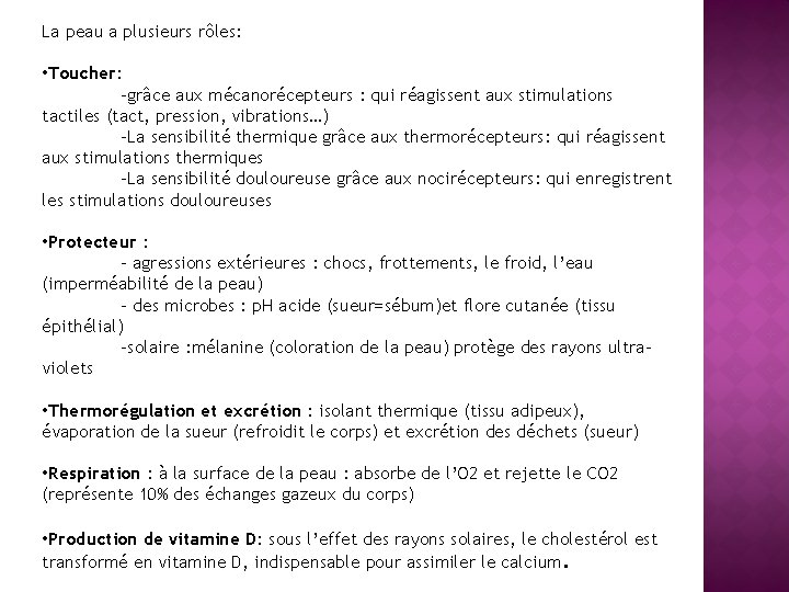 La peau a plusieurs rôles: • Toucher: -grâce aux mécanorécepteurs : qui réagissent aux La peau a plusieurs rôles: • Toucher: -grâce aux mécanorécepteurs : qui réagissent aux