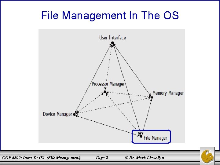 File Management In The OS COP 4600: Intro To OS (File Management) Page 2