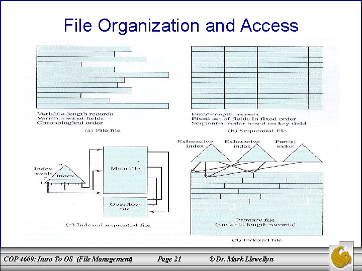 File Organization and Access COP 4600: Intro To OS (File Management) Page 21 ©