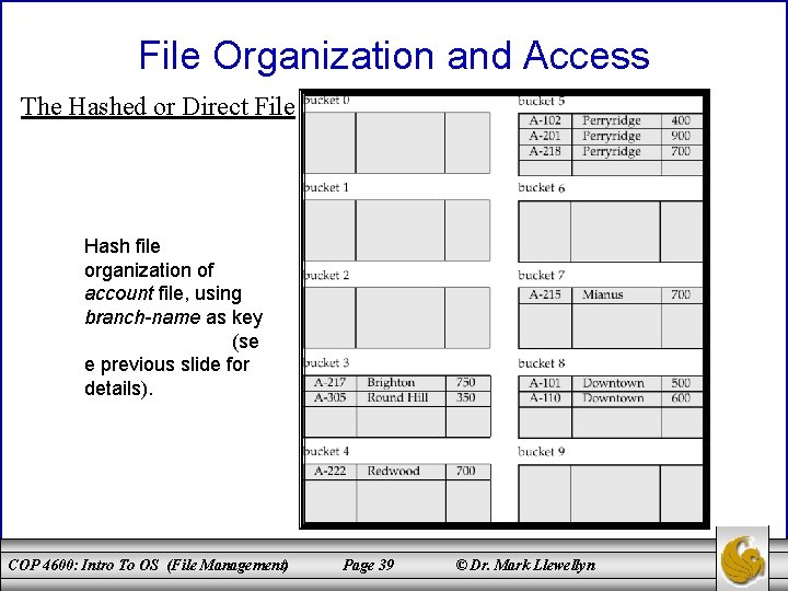 File Organization and Access The Hashed or Direct File Hash file organization of account