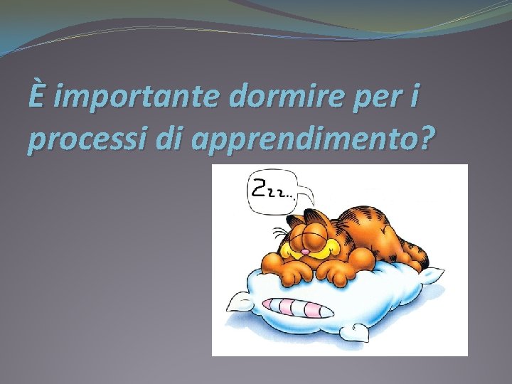 È importante dormire per i processi di apprendimento? 