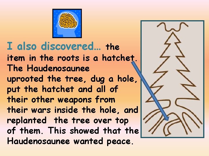 I also discovered… the item in the roots is a hatchet. The Haudenosaunee uprooted