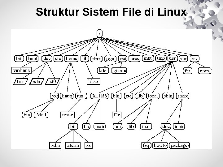 Struktur Sistem File di Linux 