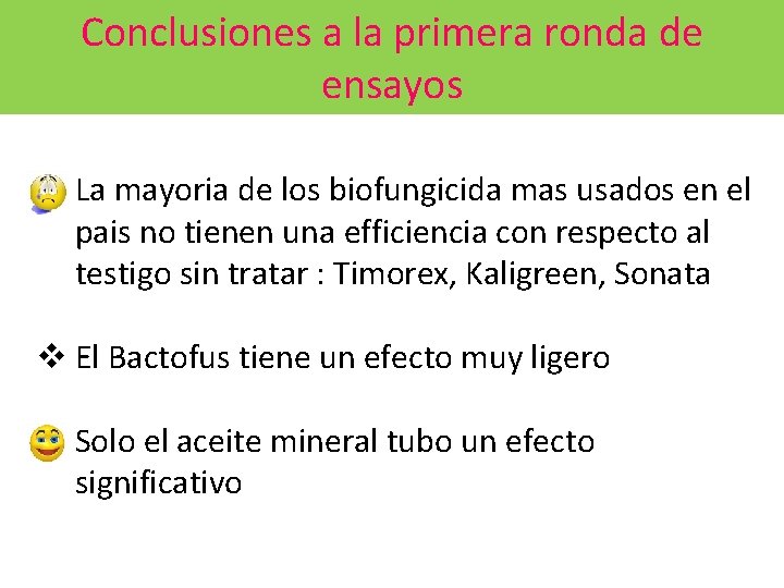 Conclusiones a la primera ronda de ensayos v La mayoria de los biofungicida mas