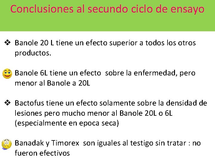 Conclusiones al secundo ciclo de ensayo v Banole 20 L tiene un efecto superior