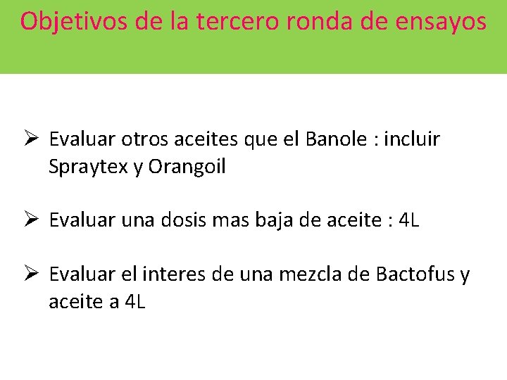 Objetivos de la tercero ronda de ensayos Ø Evaluar otros aceites que el Banole